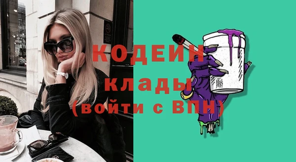 гидра Арсеньев