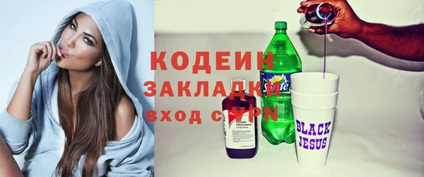 гидра Арсеньев