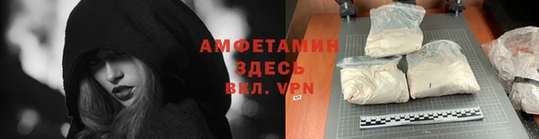 гидра Арсеньев