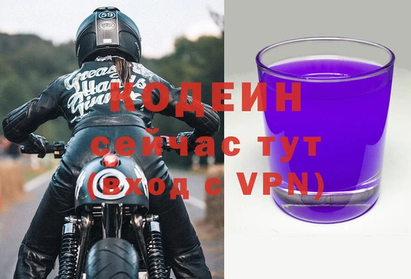 гидра Арсеньев