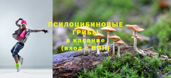 гидра Арсеньев